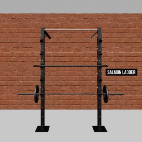 Wall-Mount Salmon Ladder Pull-Up Rig