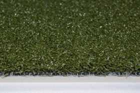 Speed Turf **Ships Free**